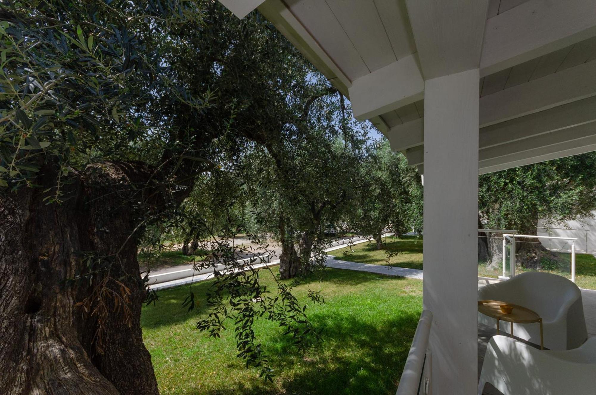 Agriturismo Giorgio Mattinata Exterior foto